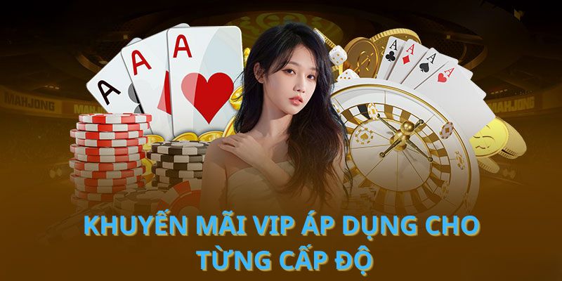 Khuyến mãi VIP áp dụng cho từng cấp độ