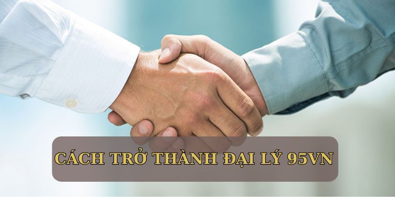 Hướng dẫn ứng viên trở thành đại lý 95VN chính thức 