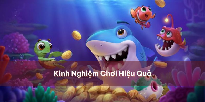 Chiến thuật chơi hạ gục mọi mục tiêu tại bắn cá 95VN